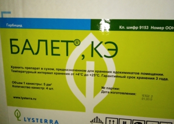 Гербициды на кукурузу