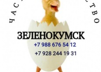 Частное хозяйство