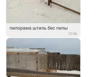 Продам Штиливую Пилормму