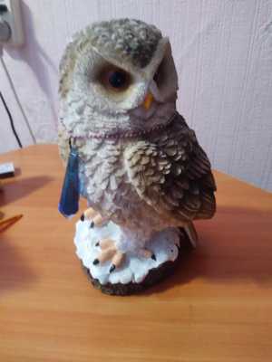 Сова