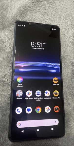 Sony pro 1