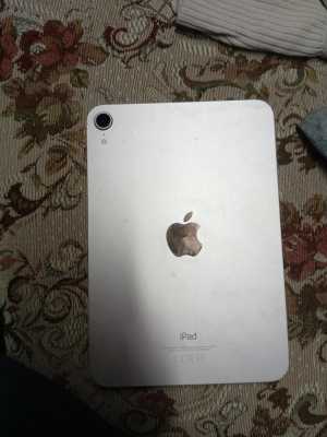 IPad mini air max
