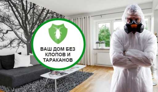 Обработка от клопов в Омске