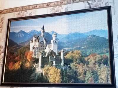 Картина из пазлов 72 на 48