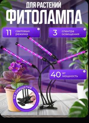 Фитолампа