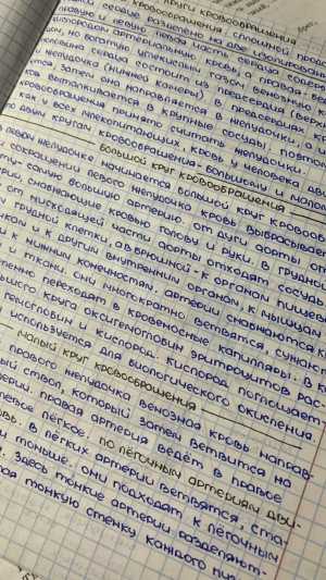Перепишу доклад, конспект от руки