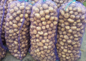Продам картофель