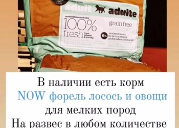 Корм NOW