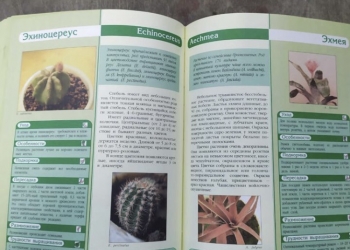 Книга про растения
