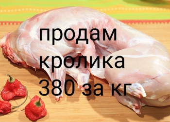 Мясо кролика