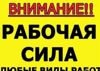 Малярные работы в г. Шахты