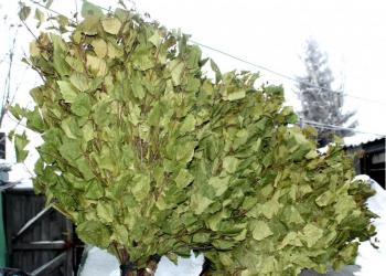 продажа веников