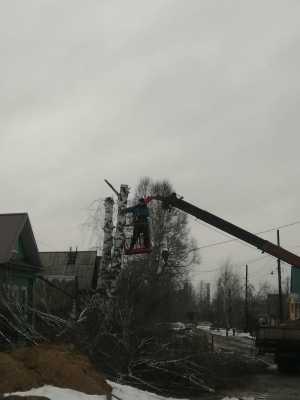 Услуги автовышки