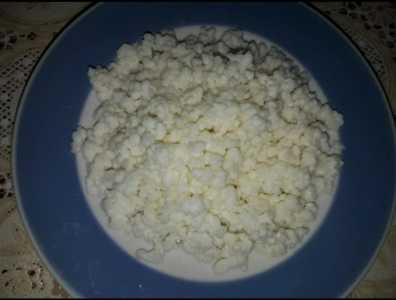 Молочный Грибок (тибетский)