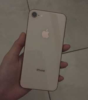 iPhone 8