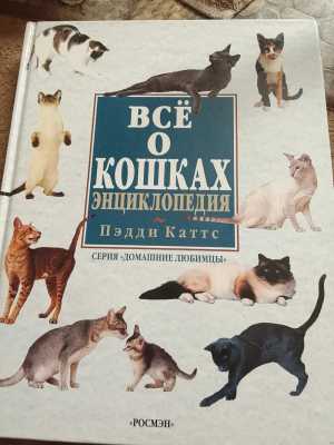 Всё о кошках.