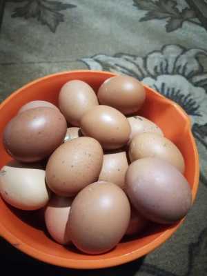 Продажа куриных яичек