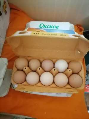 Продам.