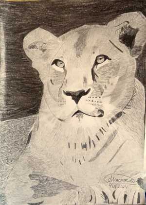 Рисунок львица