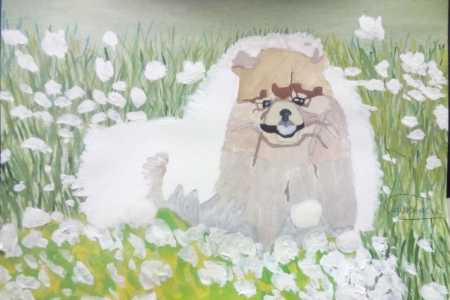 Рисунок шпиц