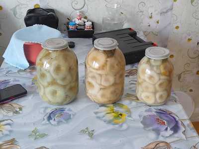 Продам грузди