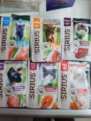 Sirius / Сириус