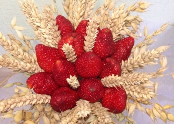 Букет клубничный