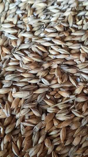 ПРОДАМ