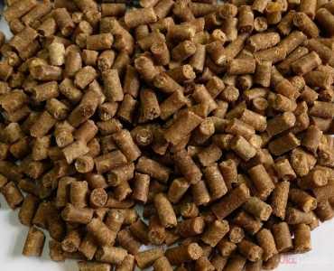 Услуга по выпуска продукции