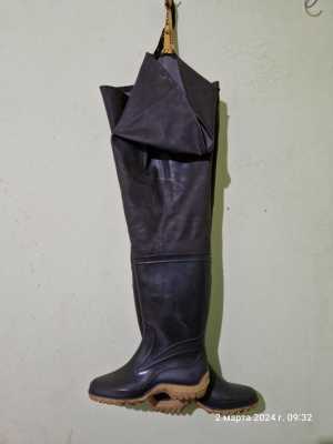 Бродни