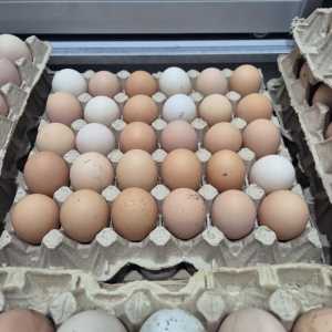 Яйцо домашнее куриное