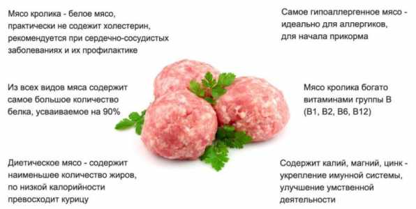 Мясо кролика