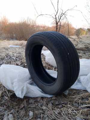 Шины