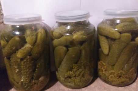 Соленые огурцы