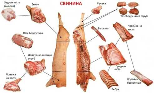 Мясо курицы