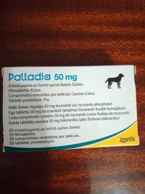Palladia