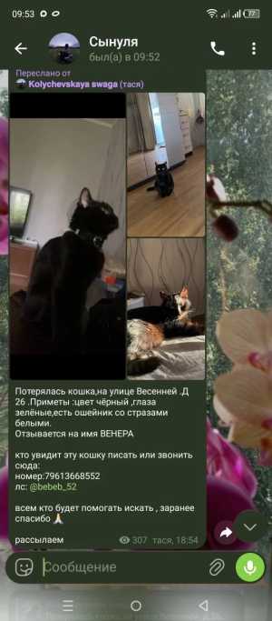 Потерялась