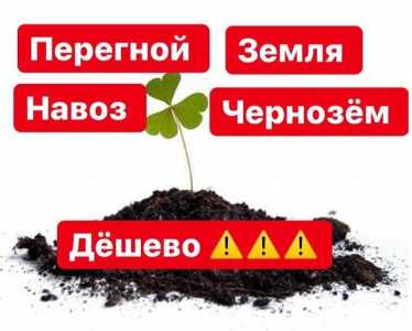 Коровий навоз