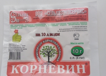 Корневин