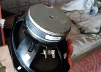 Калонки