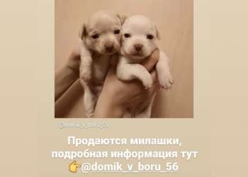 Продам