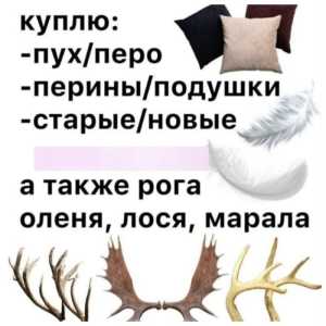 Утилизация рога