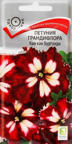 Петуния продам