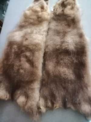 Шкурки волчат