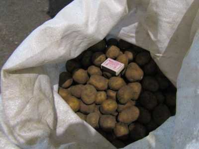 продам мелкий картофель до 7 т