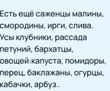 Саженцы и цветы