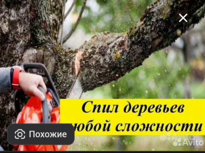 Спил деревьев, уборка территориий.