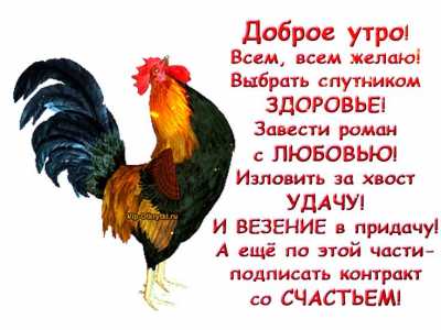 Гусинная семья