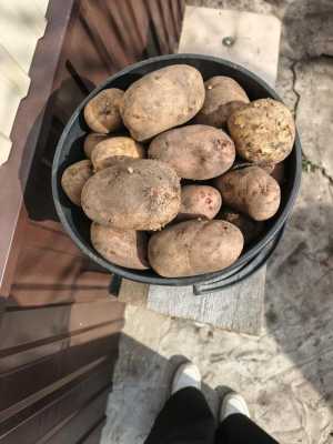 Продам