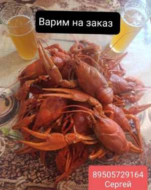 Раки живые варёные